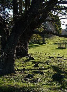 Blackwood Park Cottages Chudleigh Exterior photo